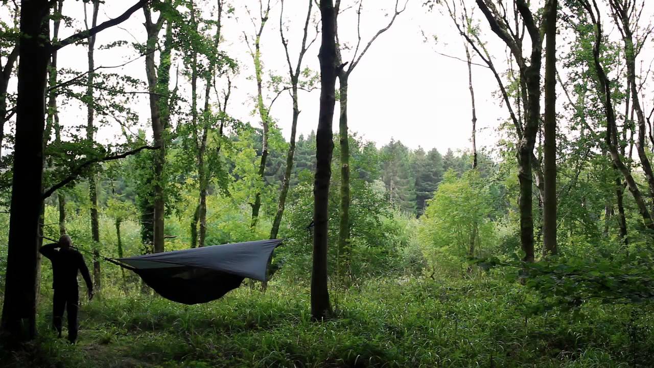 Hooke Park