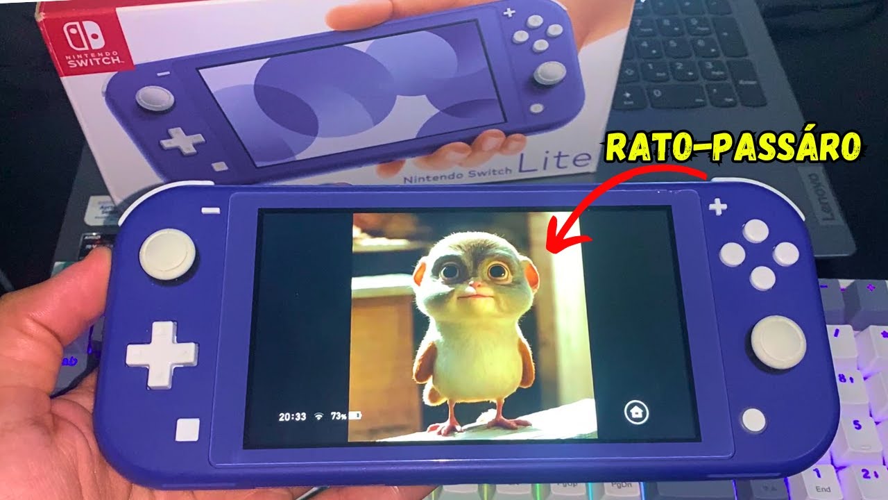 Fui comprar esse Switch Lite Desbloqueado e quase me fez perder a viagem