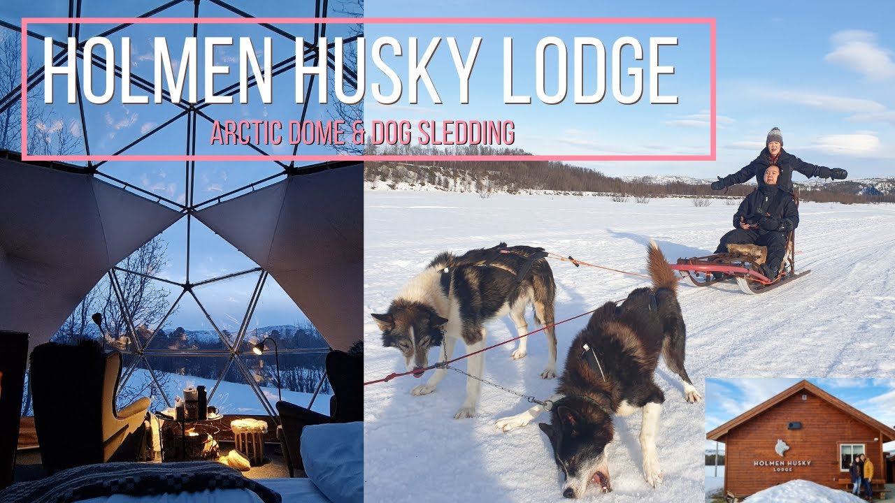 Stay in Artic Dome & Dog Sledding Experience @ Holmen Husky Lodge