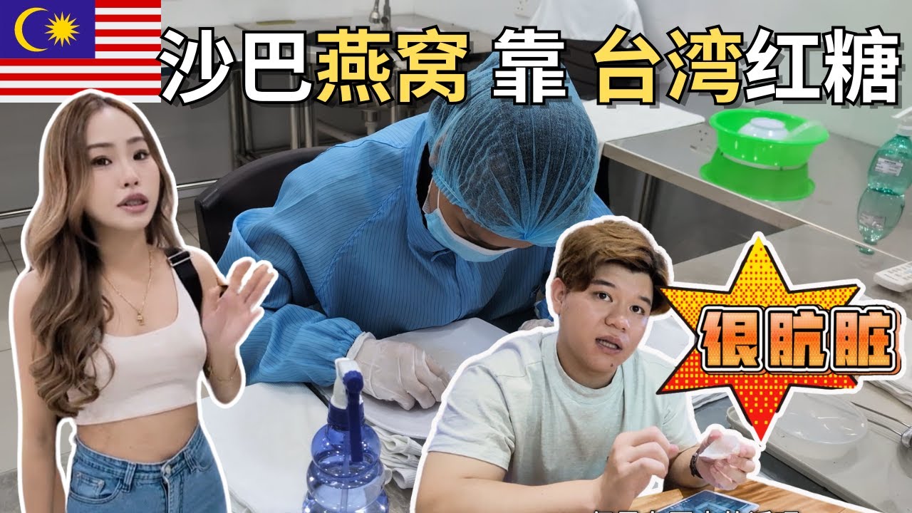 马来西亚燕窝靠台湾红糖？没看这只视频别吃燕窝，揭露燕窝行业秘密，沙巴新景点 Ice Baba #malaysia #sabah #燕窝