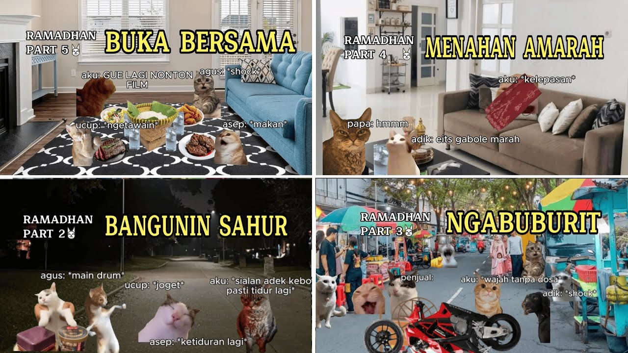 Kompilasi ramadhan & idul fitri meme kucing | Meme Kucing | #pov #meme #kucing #cat