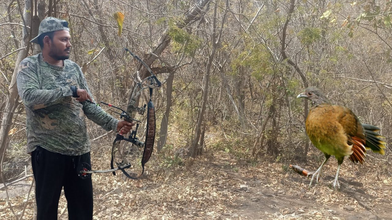 Ispiando las chachalakas ⛰️ con el arco 🏹 le bolamos plumas a una Raza 😂🐔