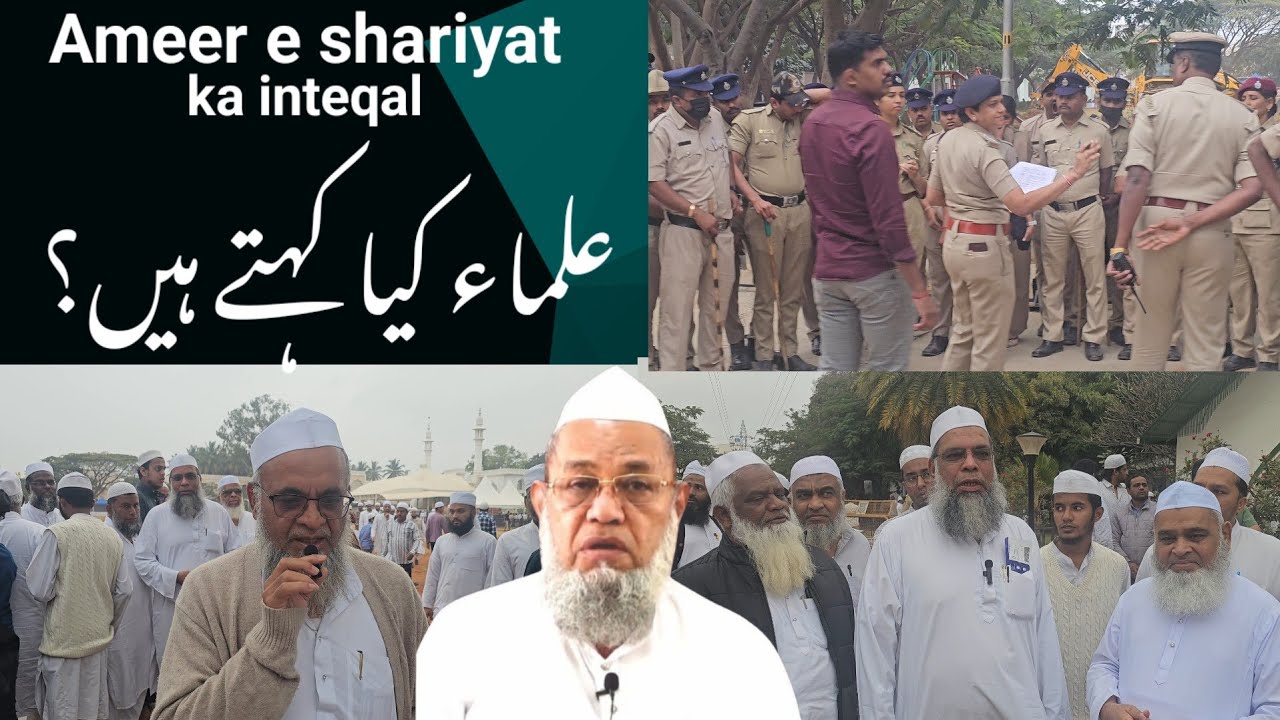 Разница между амиром и шариатом | Что говорят улемы и студенты. Полный отчет.