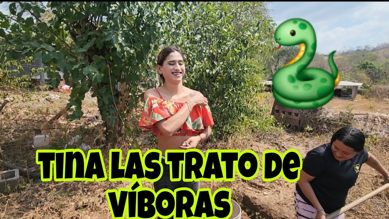 Aquien crees que se refería tina cuando dijo esto 🤔tina quiere que Beto las invite a grabar 😲