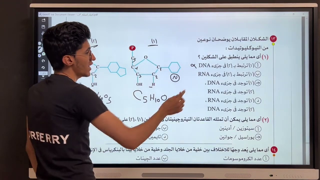 اقوى حل كتاب الامتحان احياء 3ث 2025 | RNA وتخليق البروتين|الدرس الاول الفصل الثاني