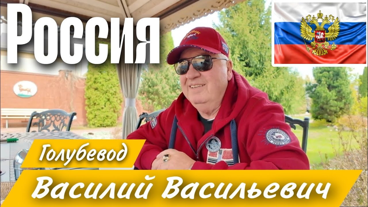 Заводчик бойных голубей, Василий Васильевич, стремится сохранить и улучшить породу голубей. #pigeon
