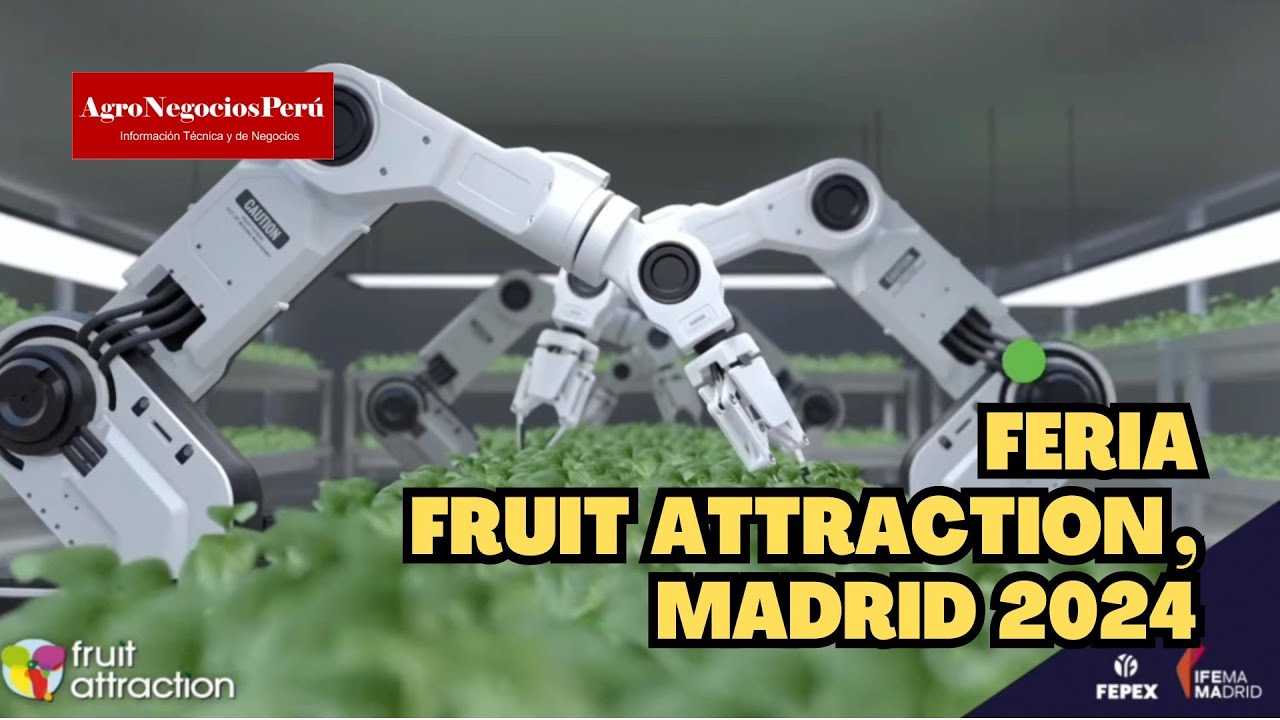 La palta será el producto estrella en la feria FRUIT ATTRACTION 2024
