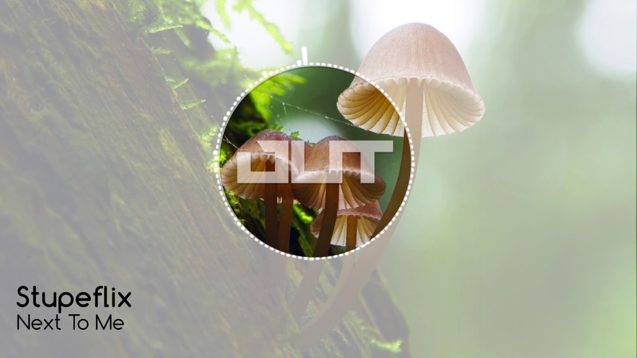 Stupeflix - Next To Me [Outertone: Trap 002 - Chillout]