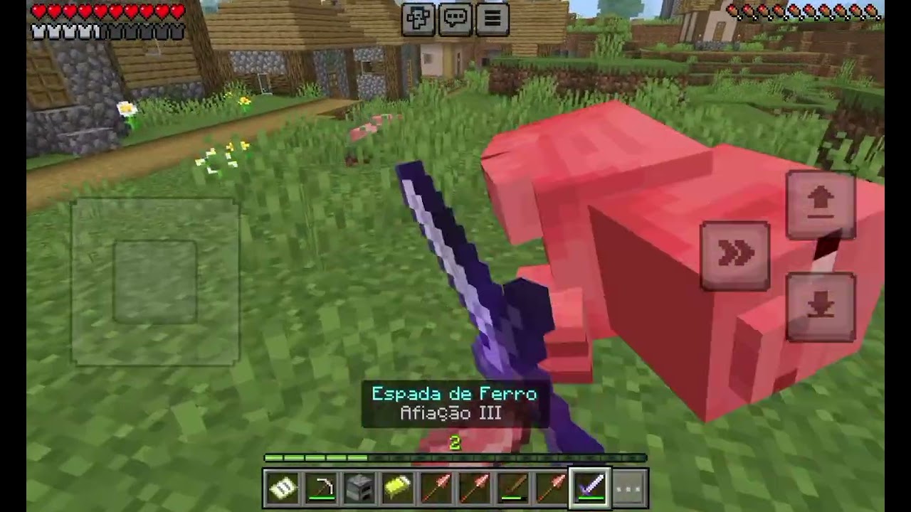 Jogando Minecraft