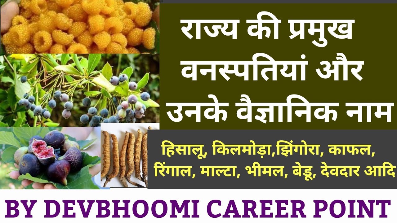 राज्य की प्रमुख वनस्पतियां एवं उनके वैज्ञानिक नाम,Scientific name of major vegetation of the state