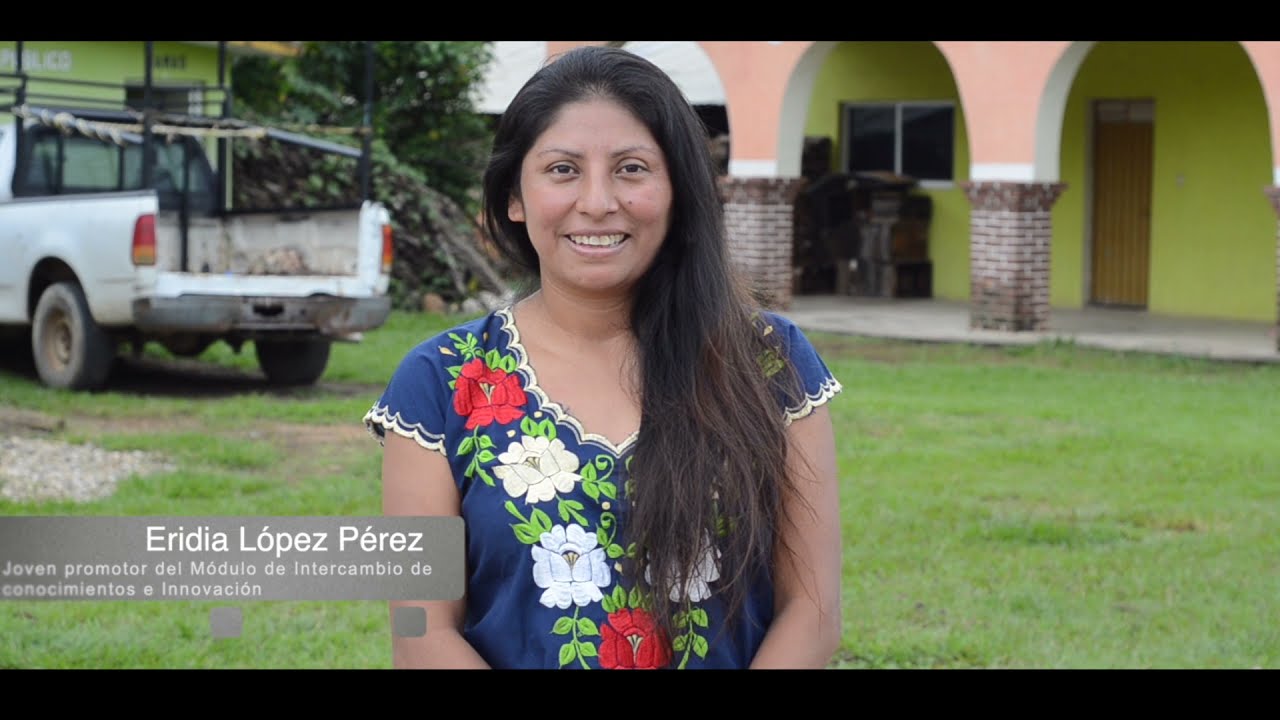 Tejiendo  hacia la agroecología comunitaria - La experiencia de la EAT EN SAN MIGUEL REYES, PUTLA.