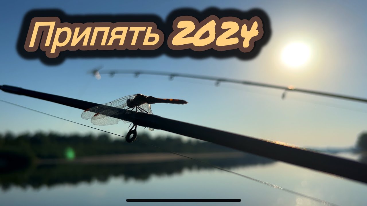 Лещи Не Дают Покоя | Впервые Вижу Такого Леща | Рыбалка На ПРИПЯТИ 2024