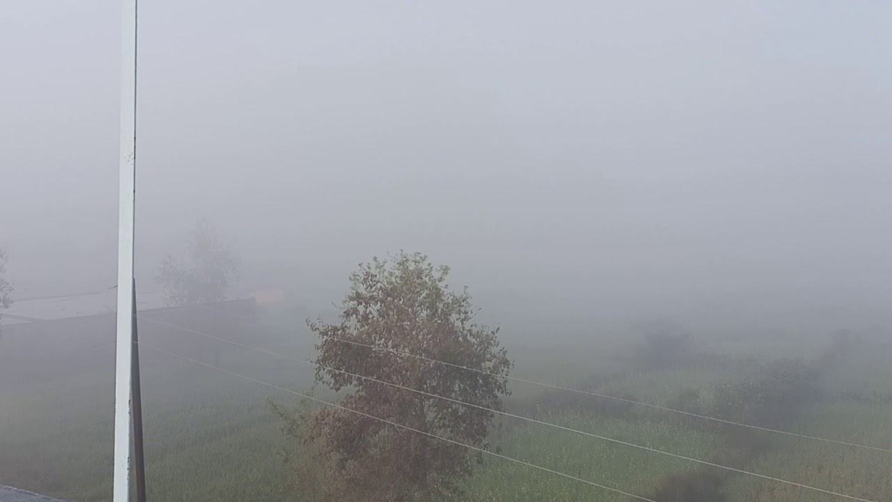 Foggy Weather in Gaya City | Morning Time