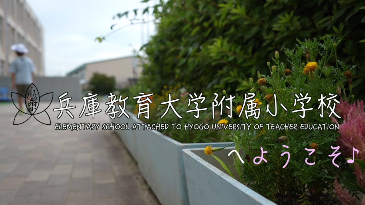 兵庫教育大学附属小学校へようこそ