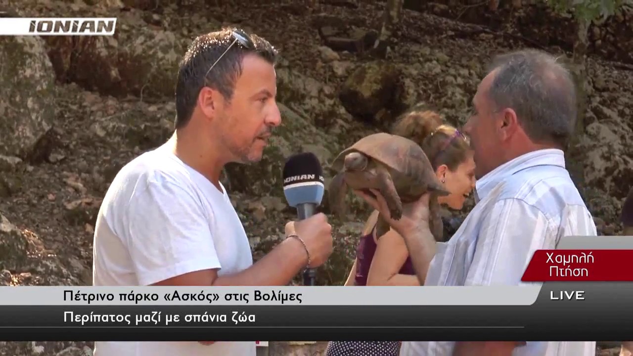 Πέτρινο Πάρκο 