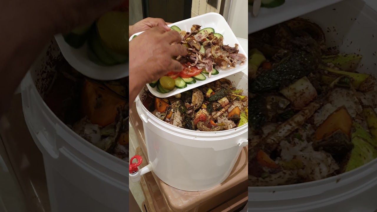 سمادة مخلفات المطبخ EM Bokashi bran  EM1