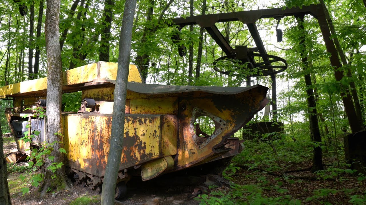 Found in the Woods