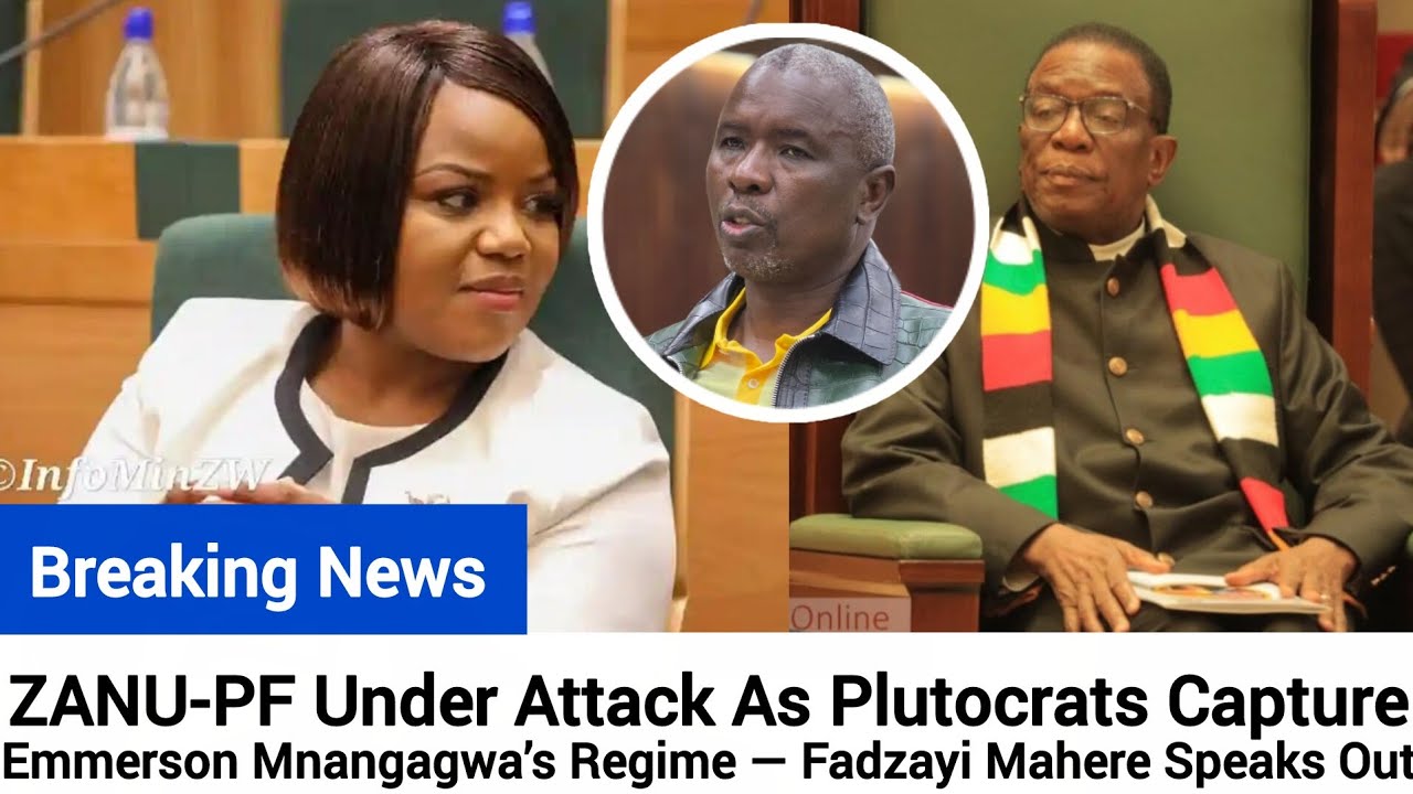 BREAKING🇿🇼ZANU-PF Under Attack As Plutocrats Capture Mnangagwa&rsquo;s Regime  Fadzayi Mahere Speaks Out