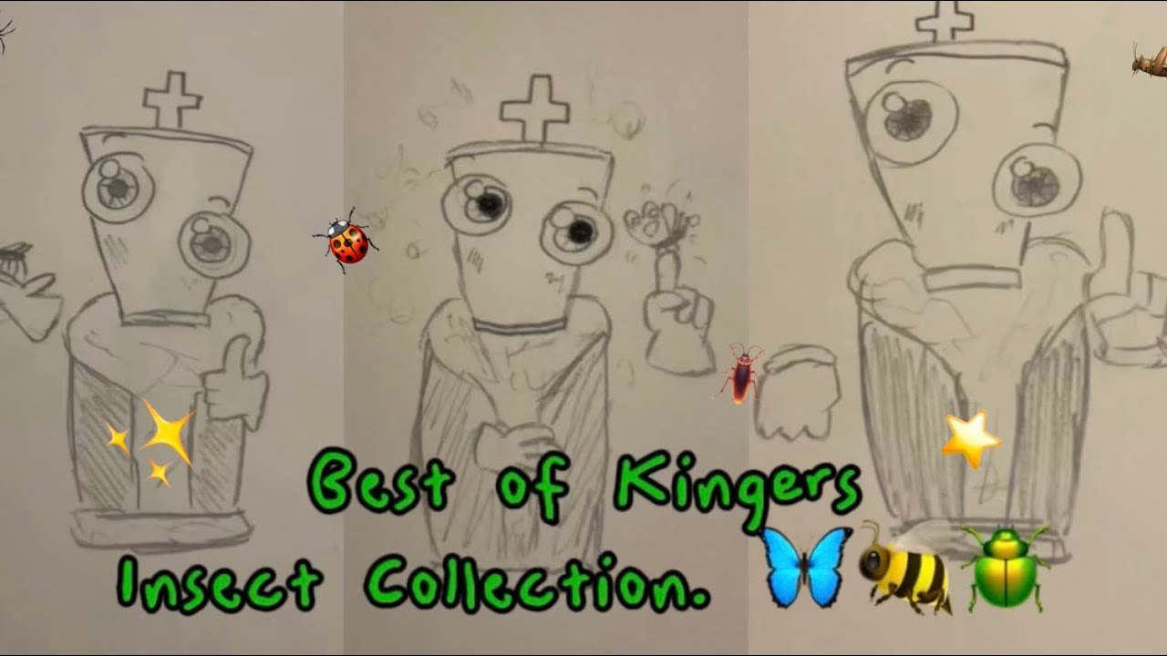 Best of Kingers Funny, Wacky, Wonderful Insect Collection!