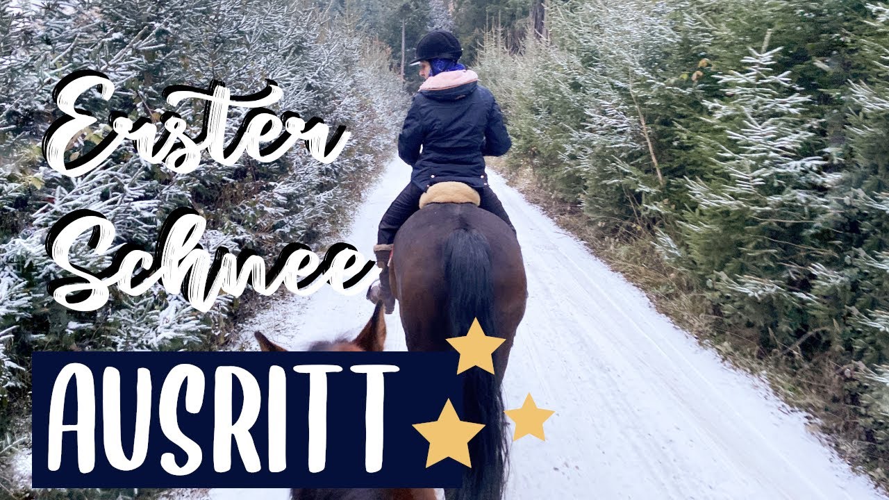 ERSTER SCHNEEAUSRITT ❄️🌟| chaotischer Weihnachtsausritt | Vlog 14 | vic.adventure