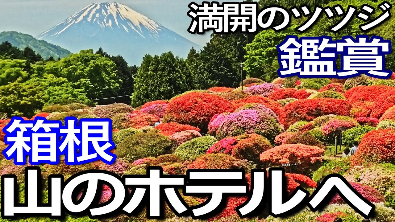 神奈川ゆる旅【箱根】芦ノ湖の湖畔にある山のホテルで満開のツツジを鑑賞