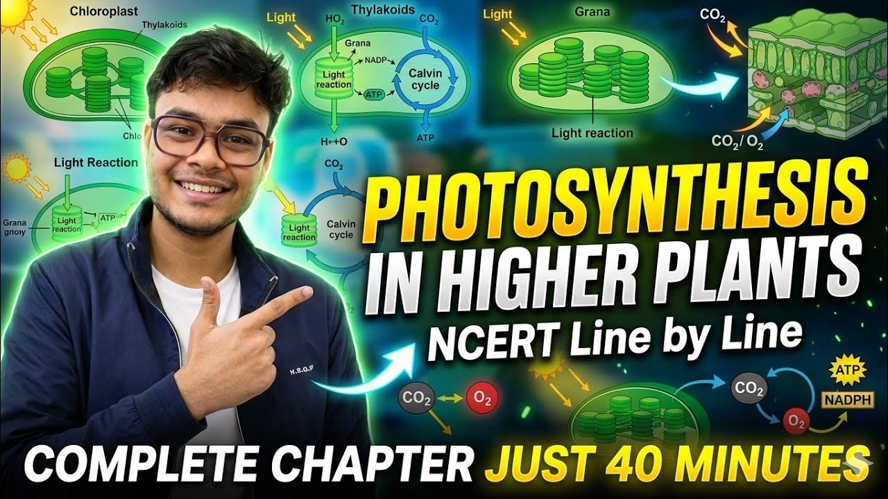 Photosynthesis in Higher Plants in 40 Minutes | NCERT Line by Line mind map | Class 11 Biology #NEET