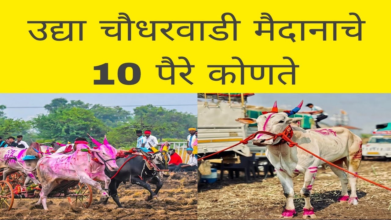 उद्या आदत चौधरवाडी मैदानात कोण कोणते टॉपचे बैल येणार आहेत  ?