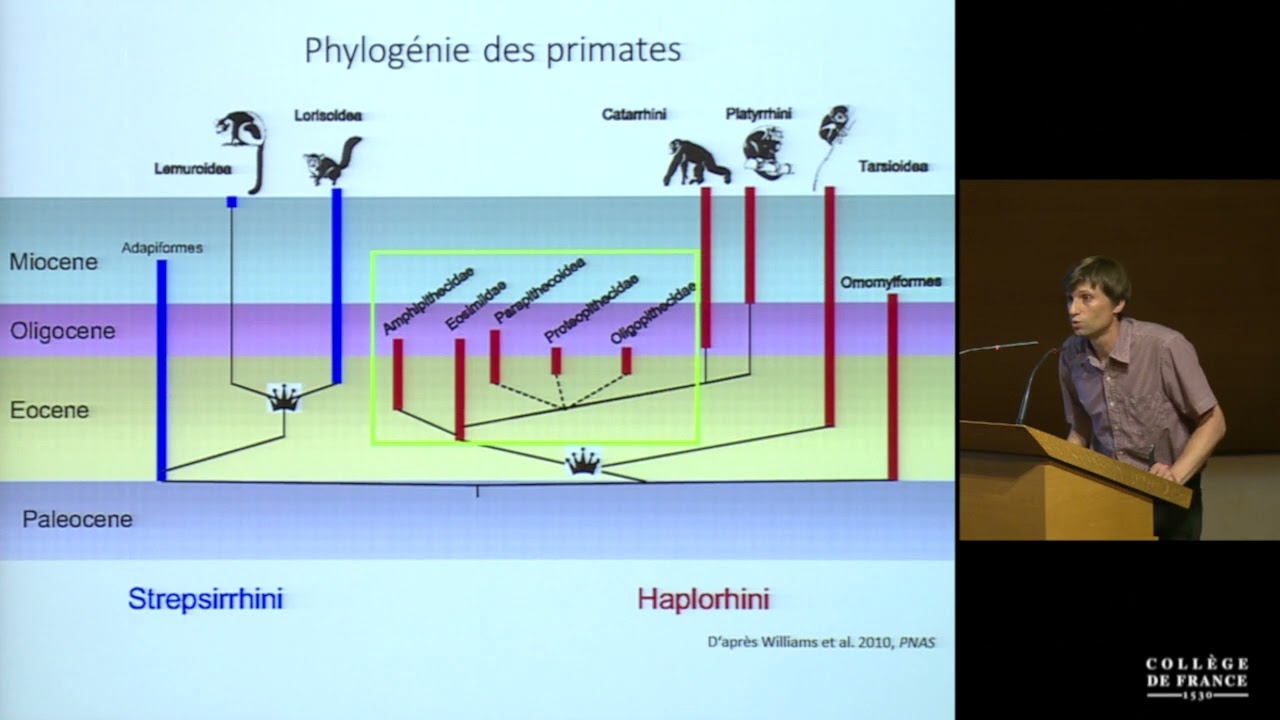 Nouvelles perspectives pour l'histoire de l'humanité (3) - Michel Brunet (2017-2018)