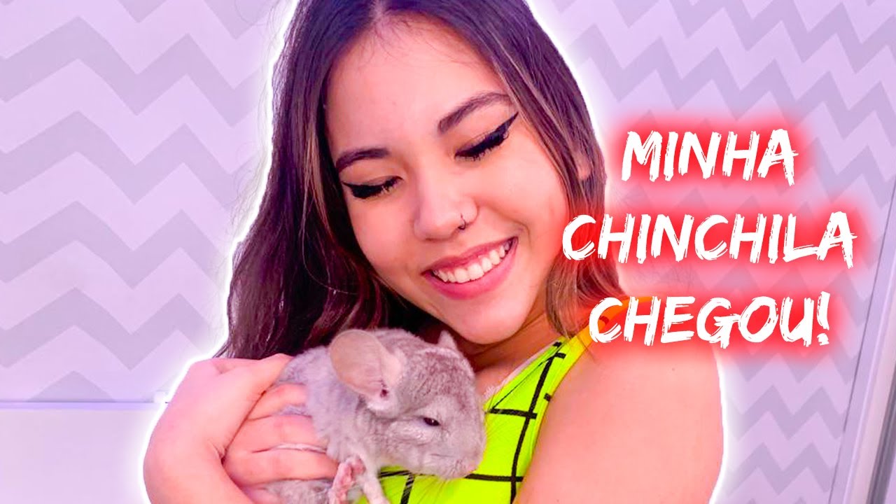 PRIMEIRAS 24 HORAS COM MEU CHINCHILA!!!!