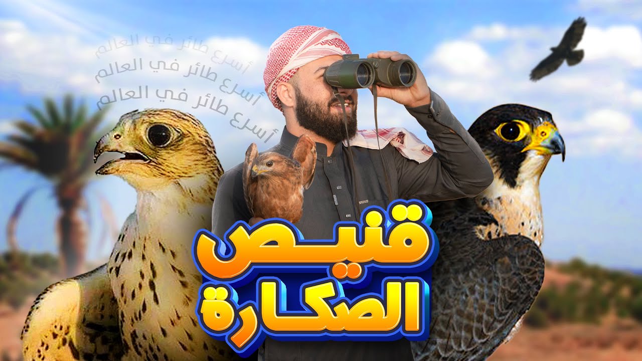 هل ننجح في اصطياد أغلى طير في العالم ؟