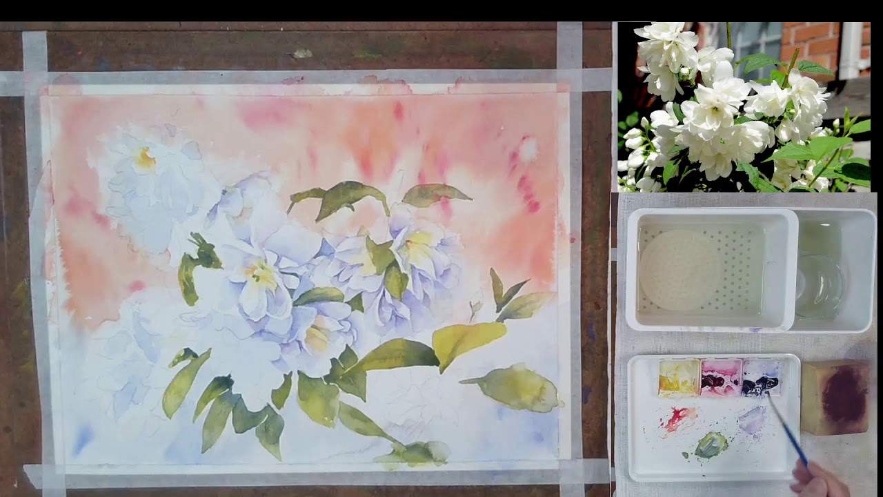 Watercolour Demo - Snowbell Mockorange 01