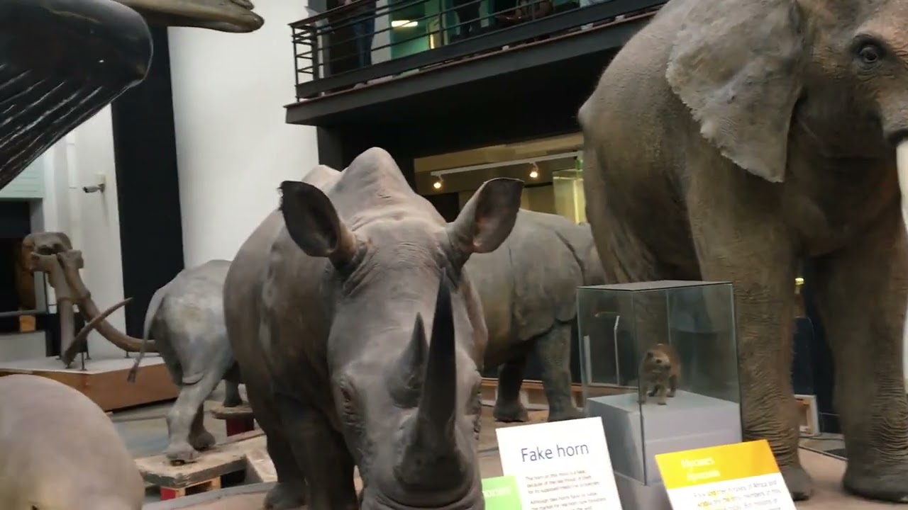 Science Museum, London