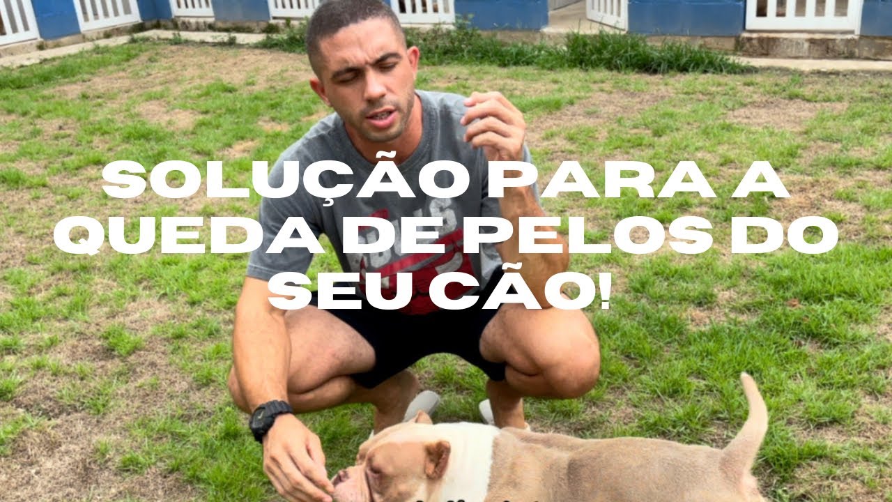 QUEDA DE PELOS NUNCA MAIS! Dica simples e muito eficiente.