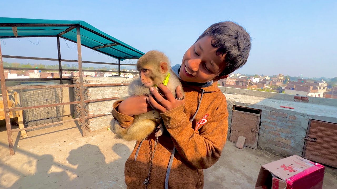 Обезьяна Аа Гая 🐒 | Давуд Сабир Влоги