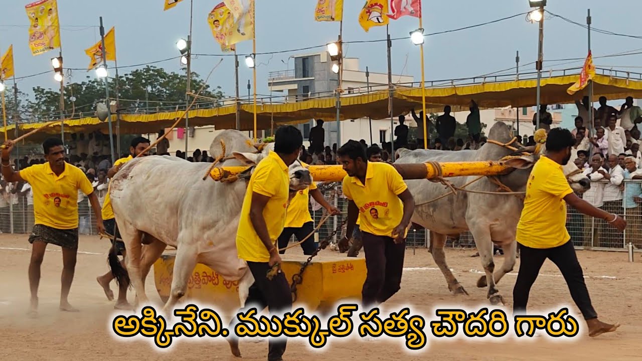 చిలకలూరిపేట సీనియర్స్ 9వ అక్కినేని ముకుల్ సత్య చౌదరి గారు మల్లవల్లి గ్రామం కృష్ణాజిల్లా...