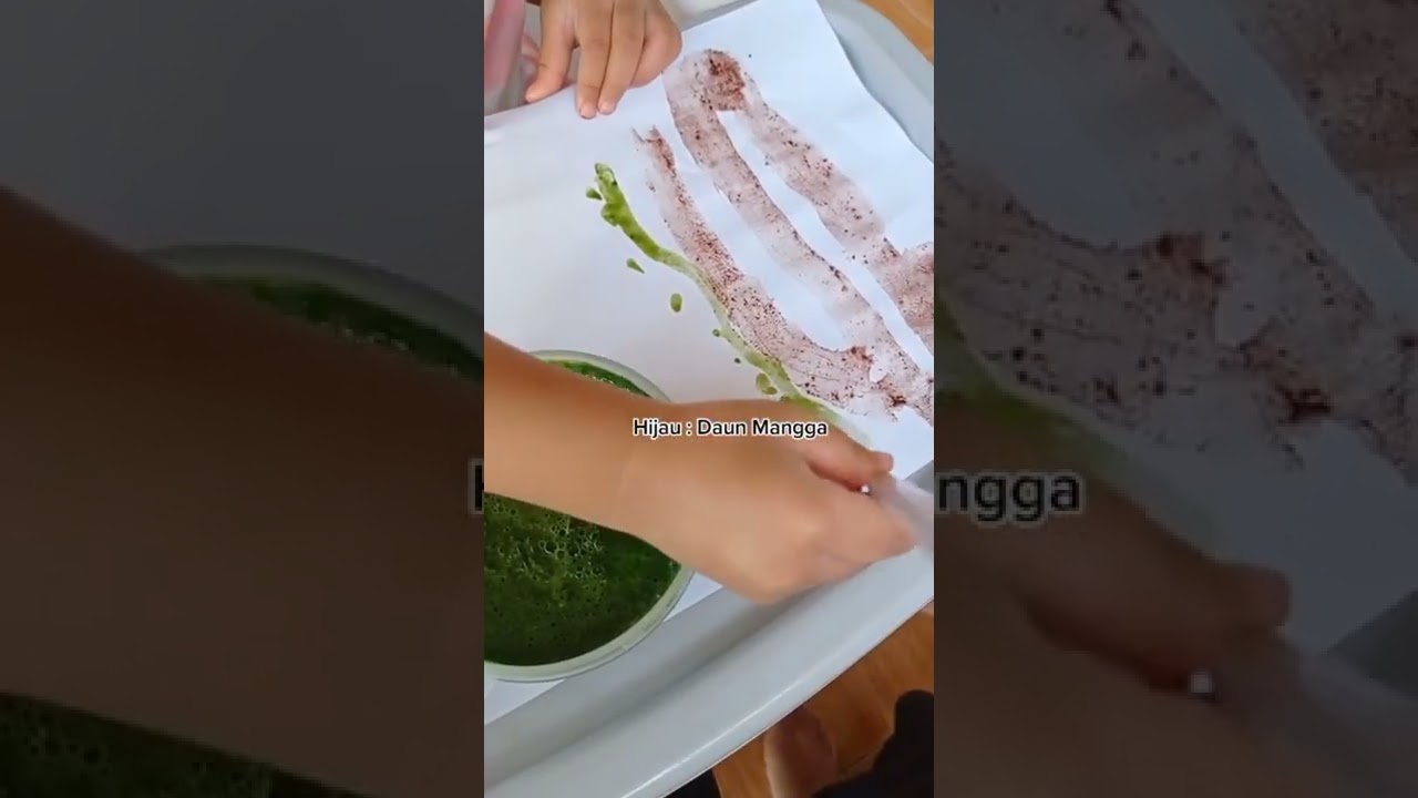 Melukis Dengan Pewarna Alami Dari Daun-Daunan Bunga Dan Rimpang Ide Aktivitas Liburan Sekolah Anak