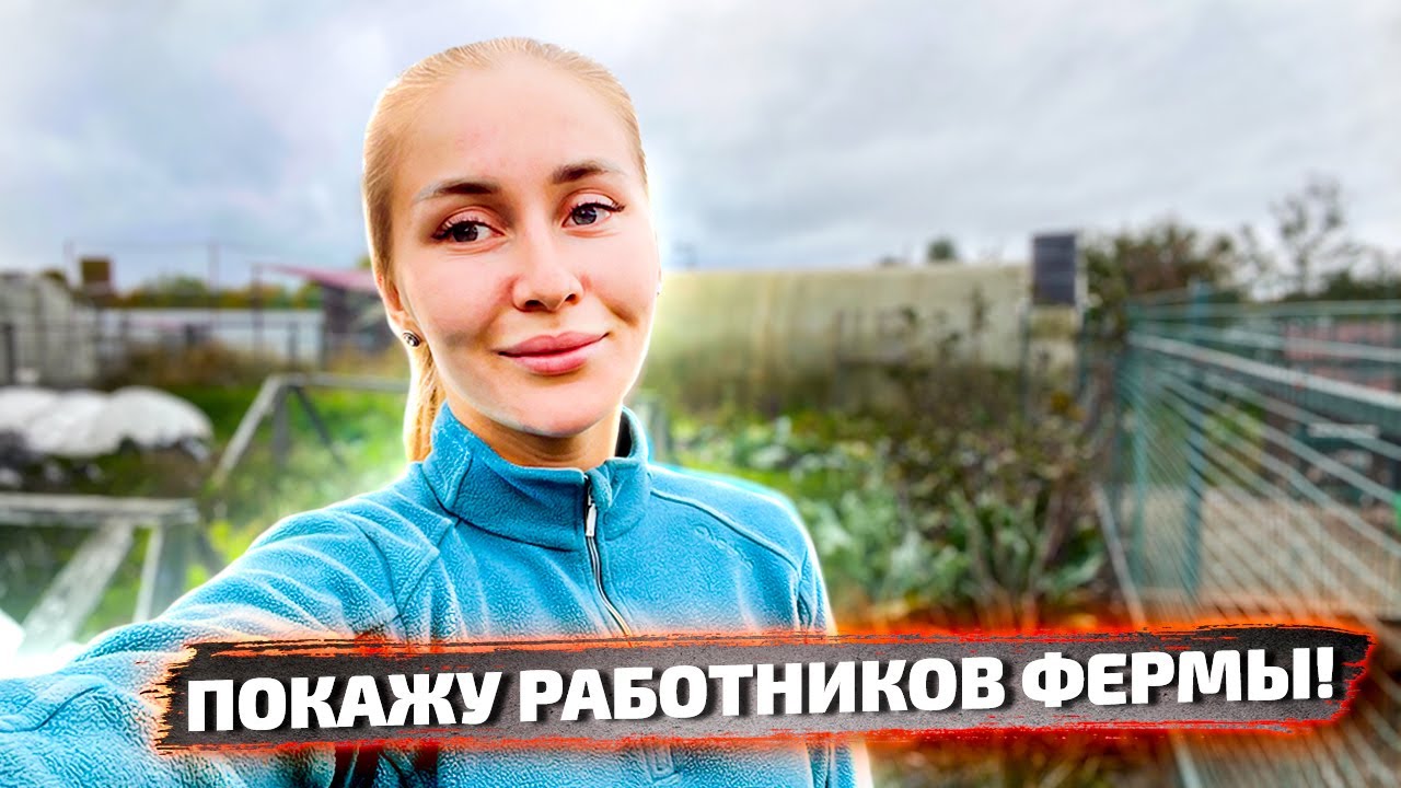 Кого продали из хозяйства? От каких животных будем уходить и какое направление развивать?