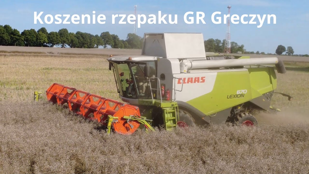 Żniwa 2025 Rzepak koszony przez GR Greczyn