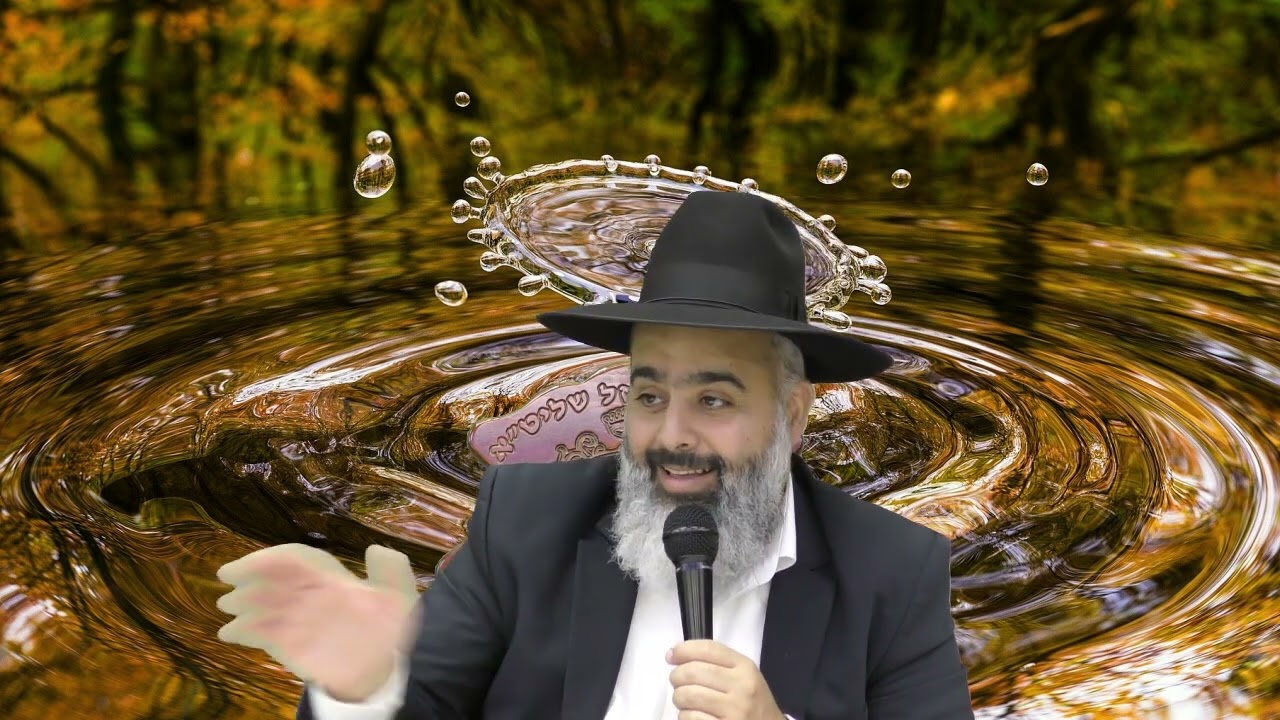 פלא יועץ - המרדף אחרי החיים !!!!! ( רדיפה )