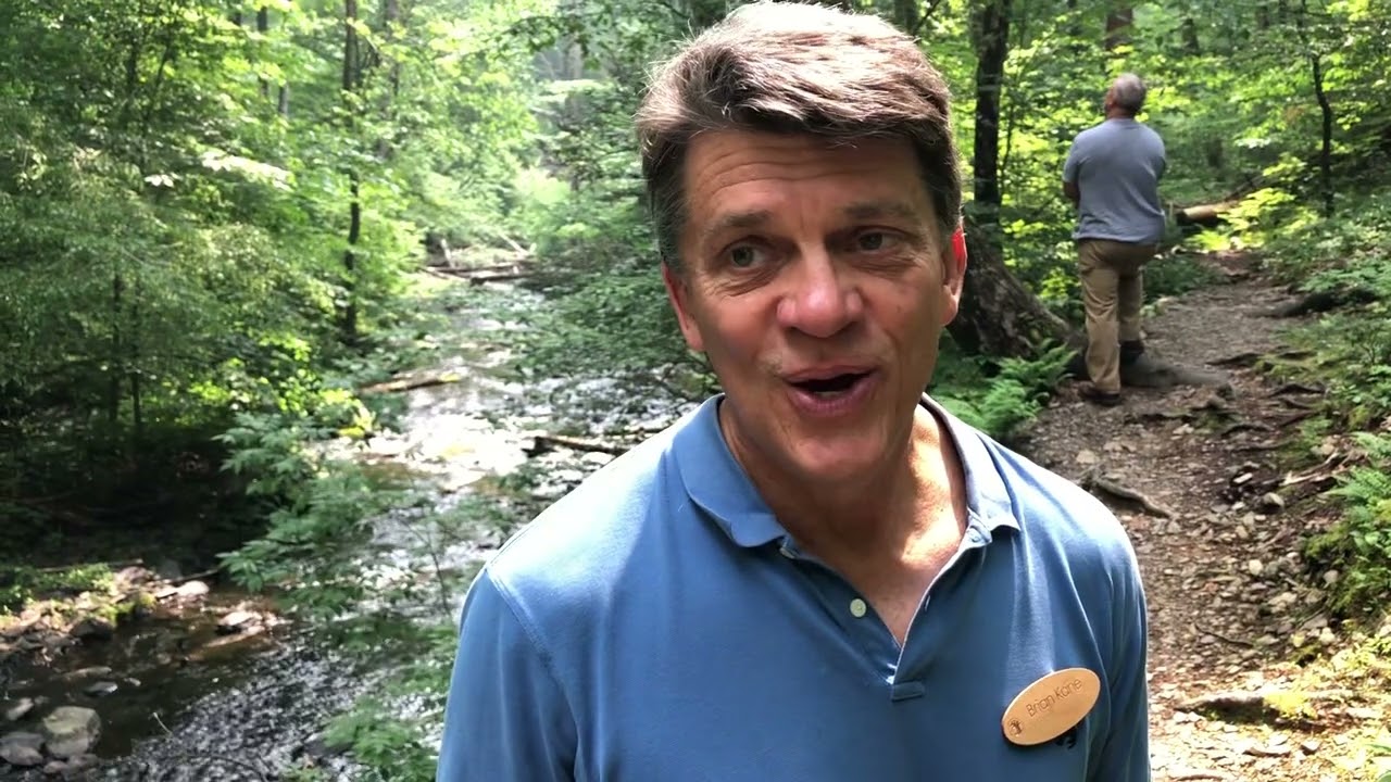 Old-growth forest in Delaware Water Gap National Recreation Area
