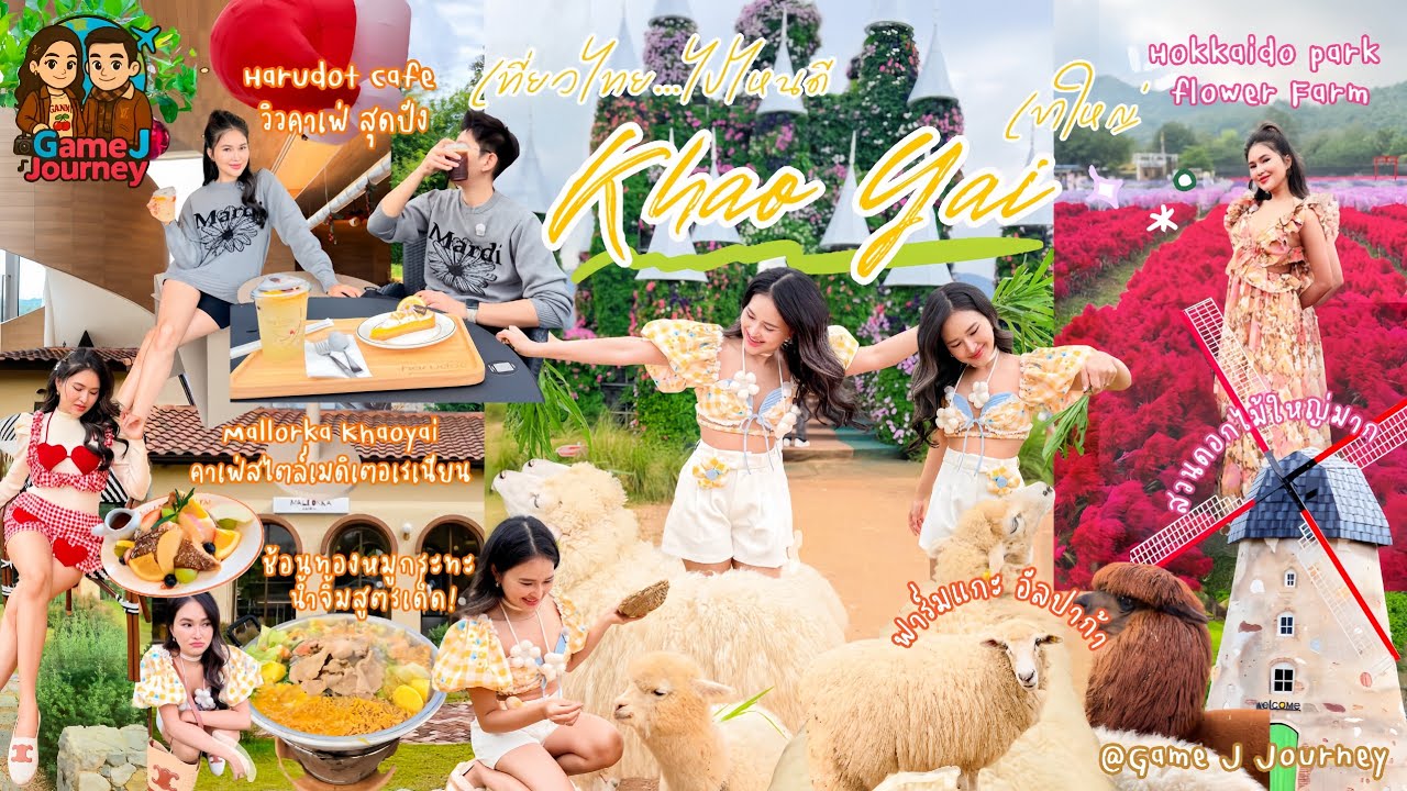 🎬 เขาใหญ่ 3วัน2คืน🌿กินเป็นลาว–พัก dusitD2–เลี้ยงแกะ–คาเฟ่Harudot&Marloka–สวนดอกไม้–ชิโอปังร้านเฮียน
