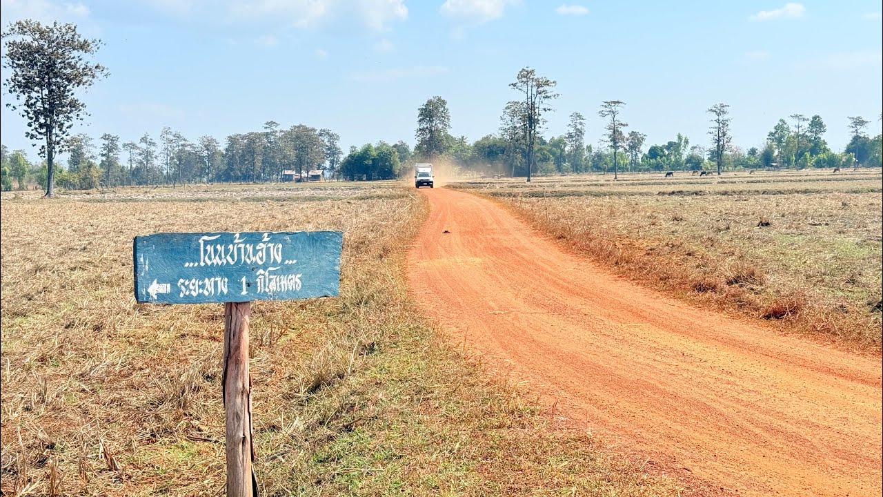 ชนบทอีสาน | โนนบ้านฮ้าง บรรยากาศวิถีอีสานแบบเก่าๆ #วิถีชาวบ้าน #คนอีสาน #อุบลราชธานี #บรรยากาศ 