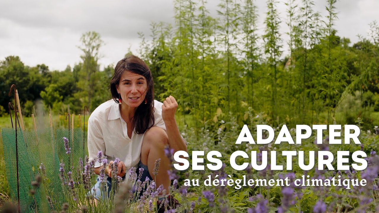 Cultiver des plantes avec le d&eacute;r&egrave;glement climatique