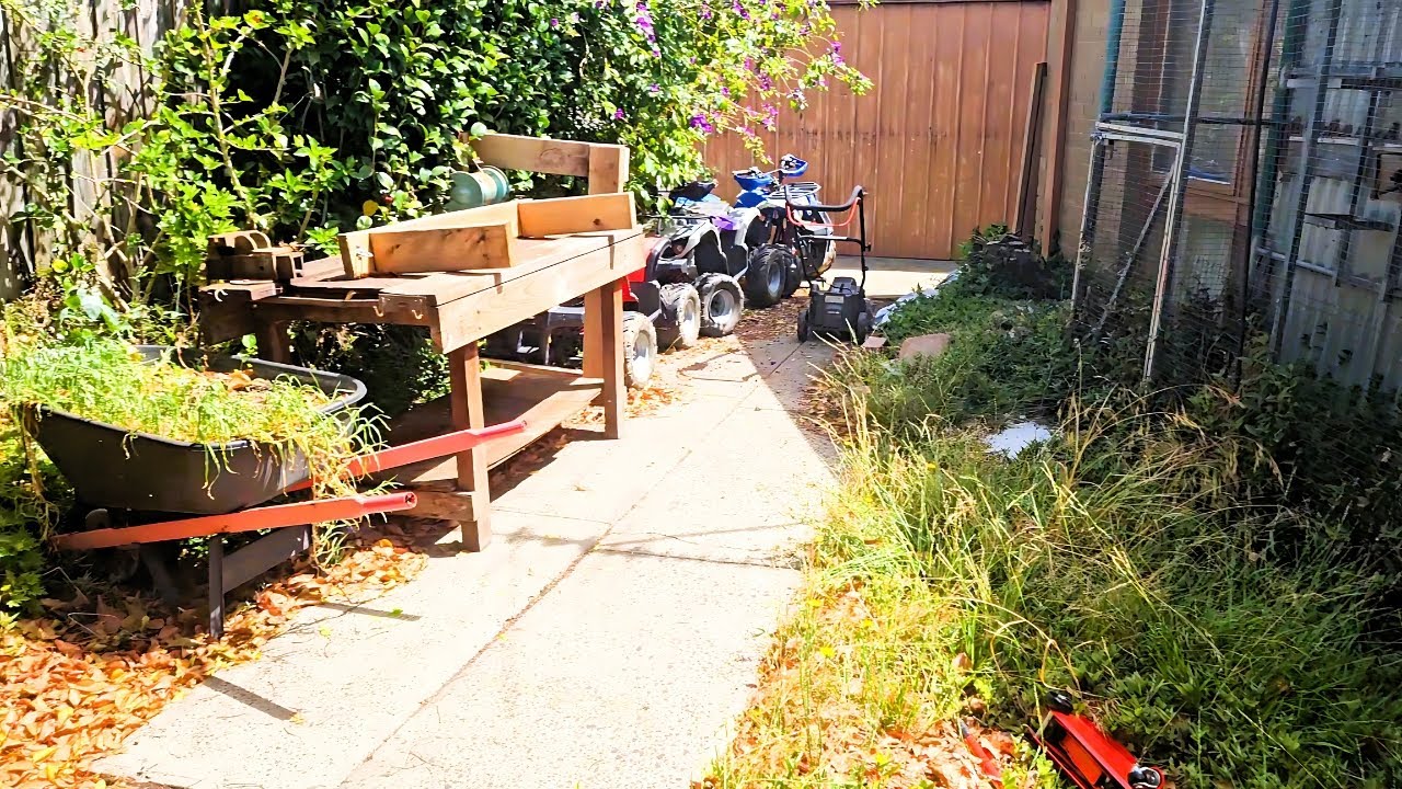 Hoarders Garden Nightmare | Watch this Place Transform!