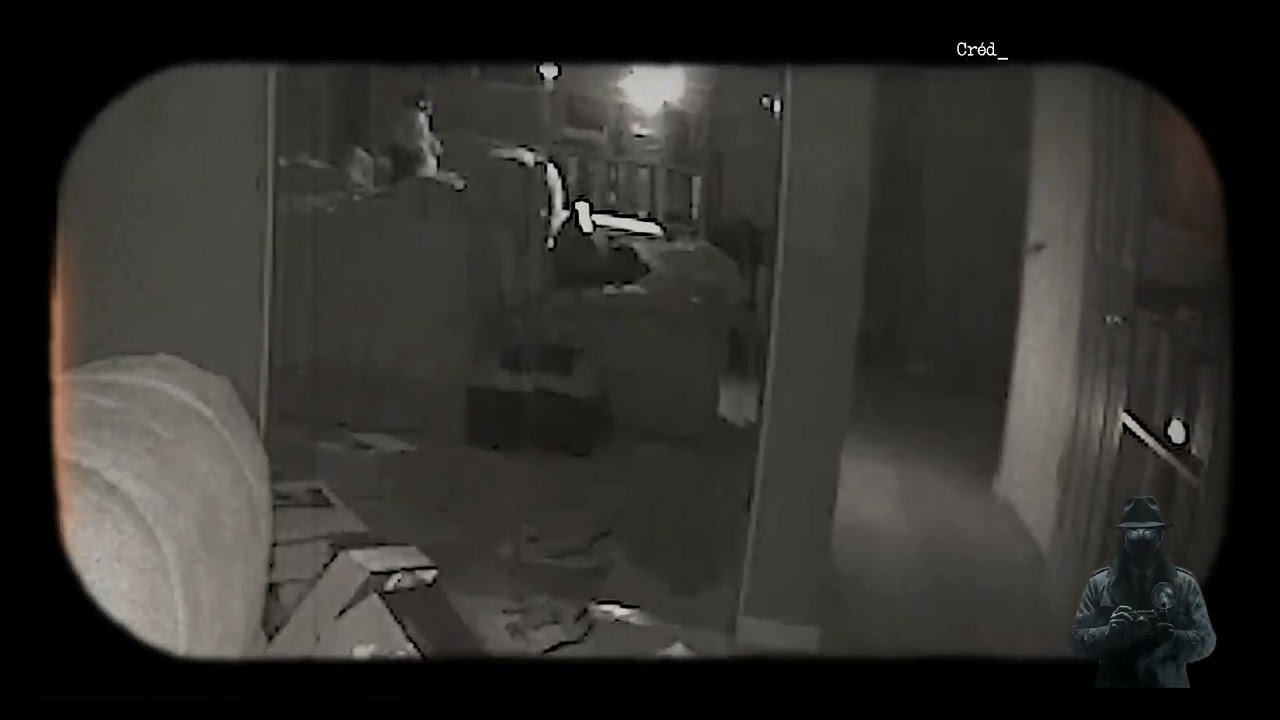 ELES VIRAM? A reação desses GATOS provou que não estamos sozinhos...