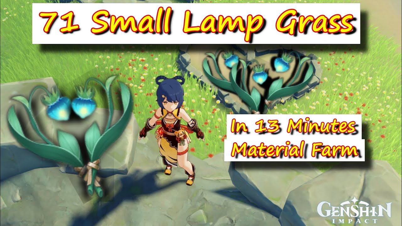 71 Small Lamp Grass in 13 Minutes - Genshin Impact