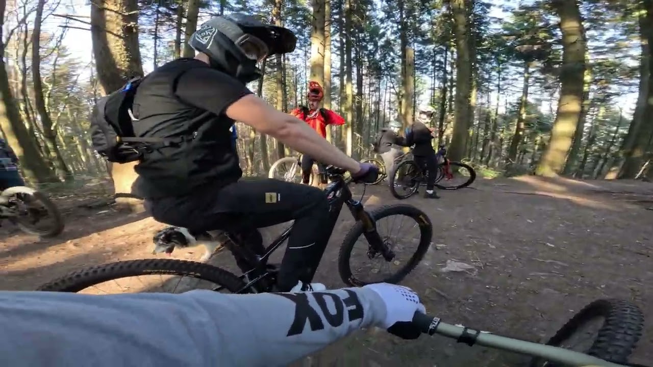 Telegraf 14.03.2026 Downhill Mashup