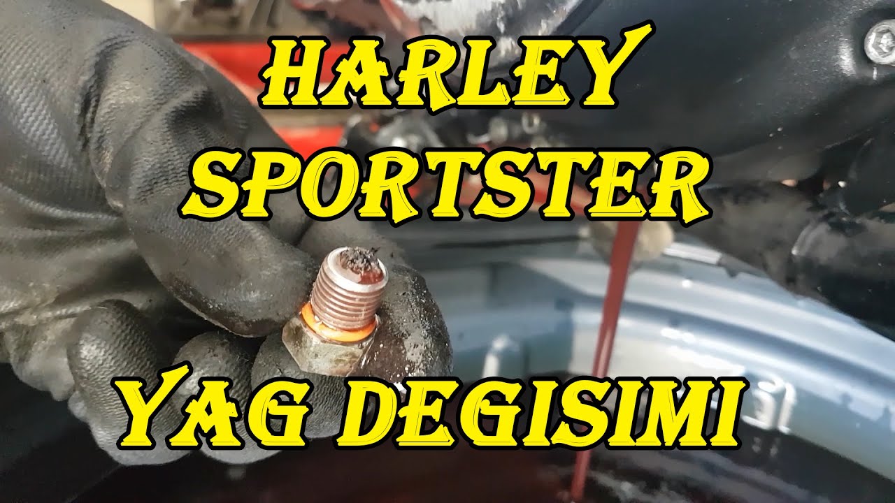 Harley Davidson Iron 883 Sportster | Bakım & Yağ Değişimi