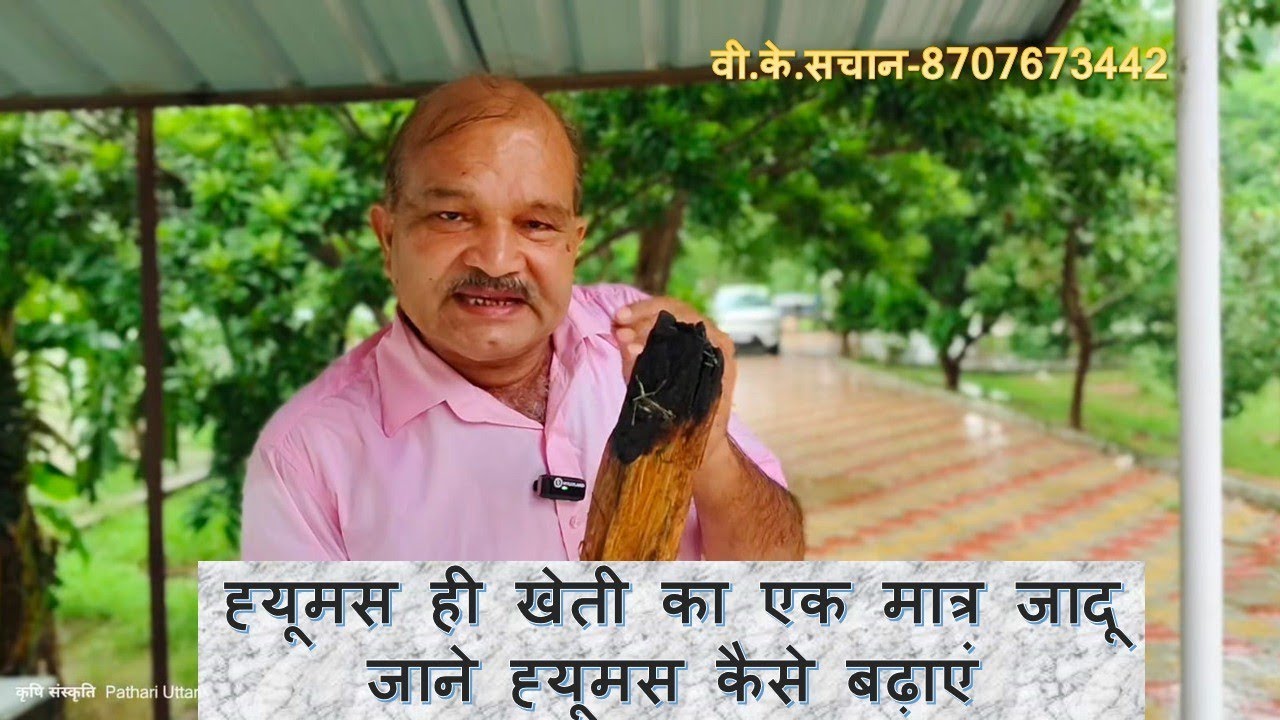Natural farming मतलब खेतों में ह्यूमस बढ़ाना
