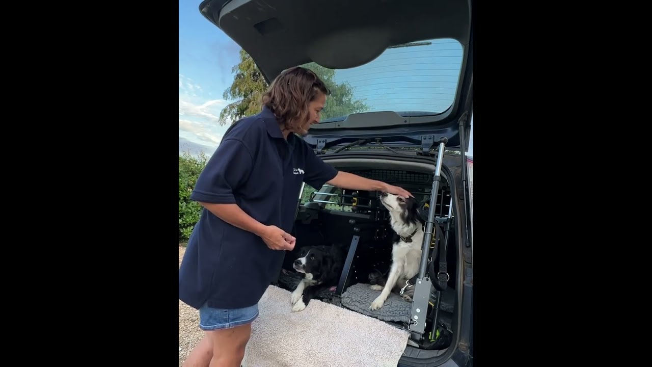 Why I chose the MIMsafe VarioGate to protect my dogs and passengers